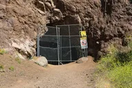 Los Angeles Naturalist's Batcaves Tour 1 hr thumbnail 6