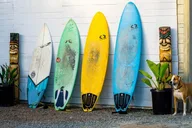 Solana Beach Surfboard Rental thumbnail 2