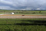 Boulder Leadership & Mindfulness Retreat with Horses thumbnail 5