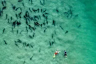 La Jolla Snorkel Adventure with Wetsuit Rental thumbnail 1