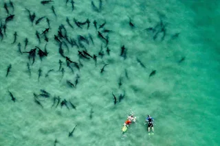 La Jolla Snorkel Adventure with Wetsuit Rental