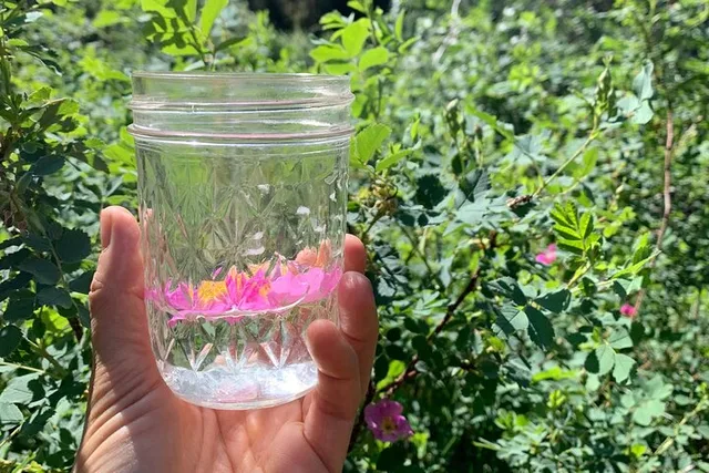 Albuquerque Flower Essence Creation Workshop - Image 5