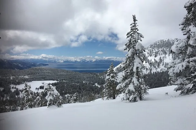 Lake Tahoe Snowshoe Experience - Image 5