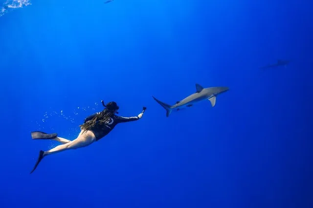 Haleiwa Ocean Adventure Dive - Image 4