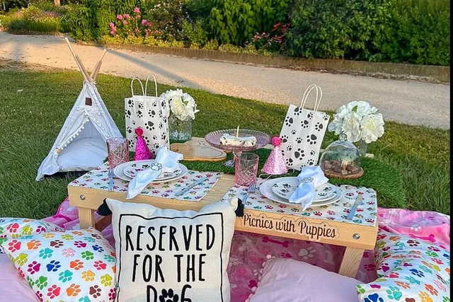 Charleston Themed Picnic Experience 2 hr - Image 4