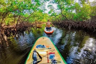 Fort Lauderdale Kayak and Bonnet House Museum Tour