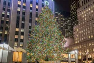 San Francisco Christmas Lights Tour with Cider thumbnail 5