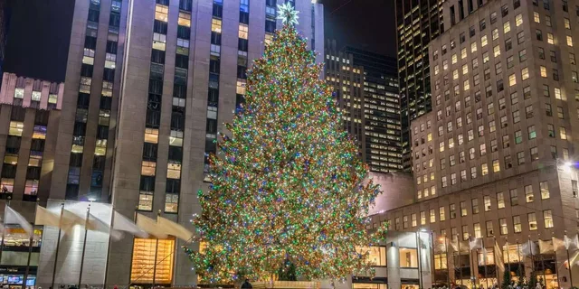 San Francisco Christmas Lights Tour with Cider - Image 5