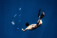 Honolulu Marine Wildlife Snorkel Tour thumbnail 6