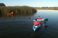 Napa Valley Kayak Rental thumbnail 3
