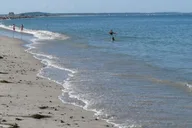 Plymouth Beach Ferry to Browns Bank Sandbar thumbnail 5