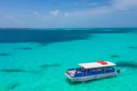 Key West Dolphin Watching and Snorkeling Eco Tour thumbnail 2