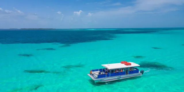 Key West Dolphin Watching and Snorkeling Eco Tour - Image 2