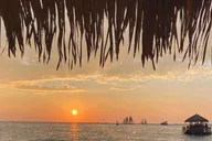 Miami Tiki Bar Cruise 1.5 hr thumbnail 5