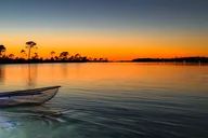 Destin Clear Kayak Tour at Sunset 90 min thumbnail 6