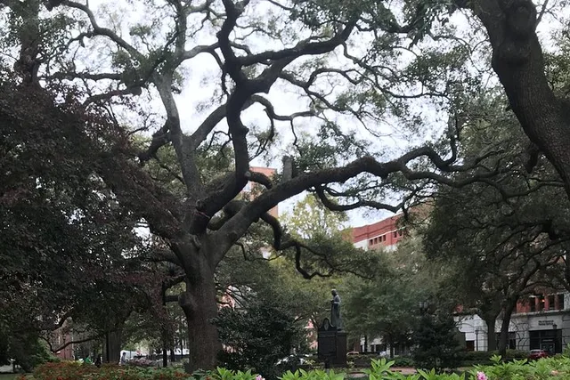 Savannah Guided Walking Tour - Image 3