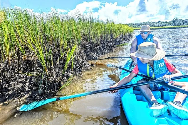 Amelia Island Paddle Tour in Talbot Islands - Image 2