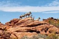 Las Vegas Valley of Fire Guided Tour thumbnail 5