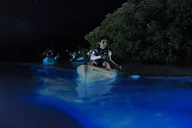 Cocoa Beach Bioluminescent Kayak Tour thumbnail 4