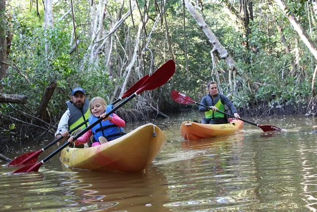 Everglades Kayak and Canoe Adventure - Image 1