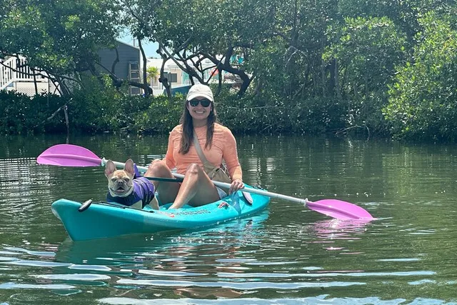 Key West Clear Kayak Rental Mangroves & Wildlife 2 hr - Image 6