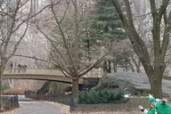 New York Central Park Movie Locations Tour thumbnail 2