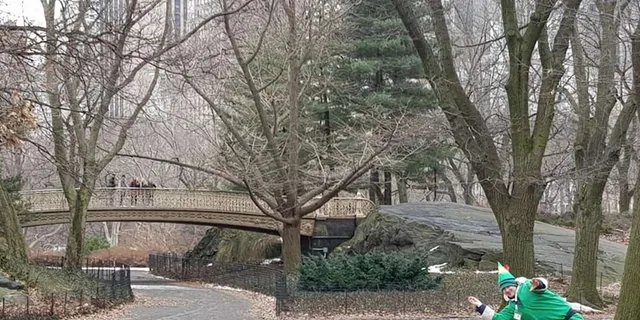 New York Central Park Movie Locations Tour - Image 2