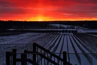 Traverse City Wine Tour at Sunset thumbnail 6