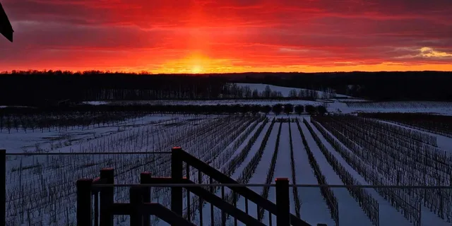 Traverse City Wine Tour at Sunset - Image 6