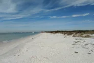 St. Pete Beach Dolphin Adventure and Shell Key Tour thumbnail 4