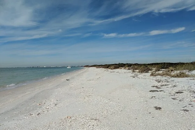 St. Pete Beach Dolphin Adventure and Shell Key Tour - Image 4