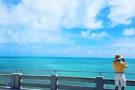Florida Keys Nature and Wildlife Tour thumbnail 3