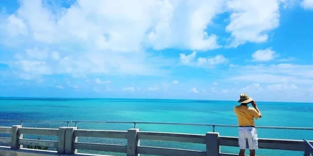 Florida Keys Nature and Wildlife Tour - Image 3