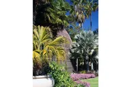 San Diego Scenic and Botanical Tour thumbnail 5