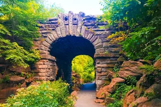 New York Central Park Secret Tour 2.5 hr