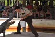 Miami Everglades Airboat Tour 4 hr thumbnail 5