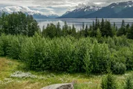 Anchorage Glaciers and Wildlife Day Tour thumbnail 2