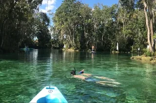 Crystal River Tandem Kayak Rental with Manatees 4 hr