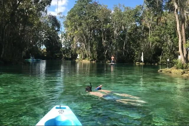 Crystal River Tandem Kayak Rental with Manatees 3 hr - Image 6