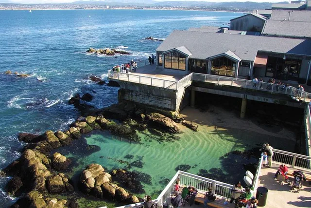 San Jose Big Sur and Monterey Coast Tour - Image 4