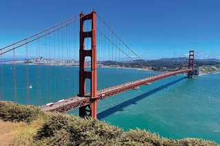 San Francisco Muir Woods and Sausalito Day Trip