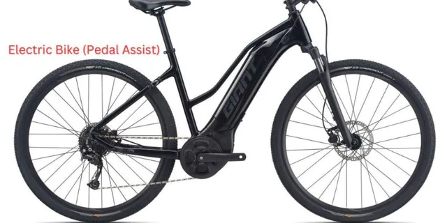 Los Angeles Bike Rental: Pedal or Electric Options - Image 2