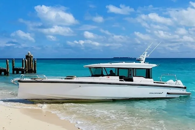 Key West Dry Tortugas Boat Trip - Image 6