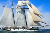 San Diego Tall Ship Sailing Adventure thumbnail 2