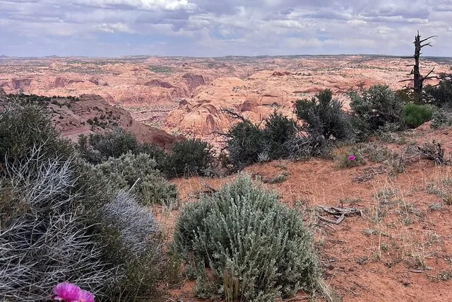 Ts'ah Bii Kin Eggshell Arch Day Tour 2 hr - Image 3