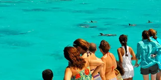 Key West Dolphin and Reef Snorkel Trip with Sunset