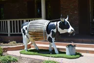 Paso Robles Scavenger Hunt Walking Tour thumbnail 4