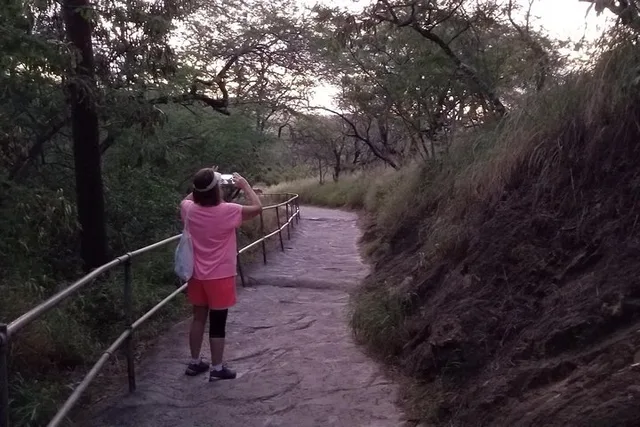 Honolulu Diamond Head Crater Hike 3 hr - Image 4