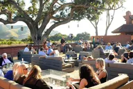 Santa Barbara Wine Country Shore Excursion thumbnail 5