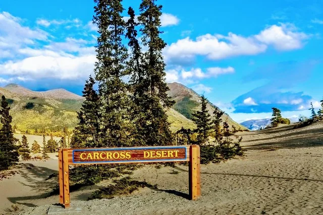 Skagway Yukon Full-Day Mini-Bus Tour - Image 3